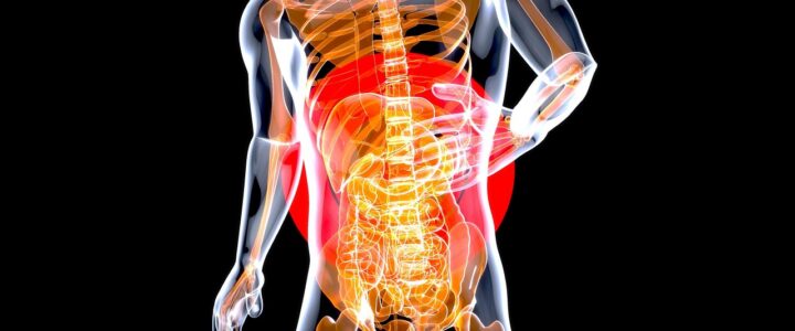 Natura&shy;haus Hannover: Im Mittelpunkt steht die Gesundheit des Darms