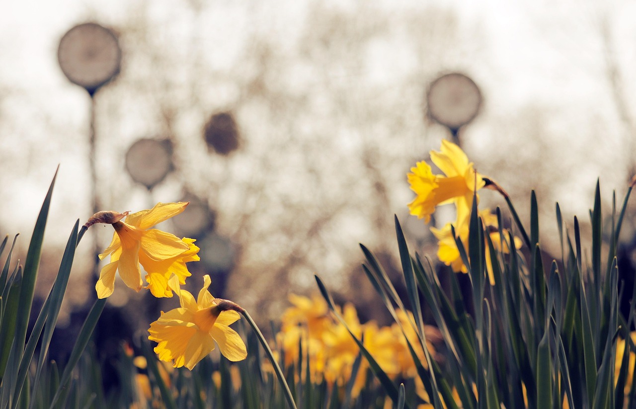 entdecken sie die besten hotspots: trendige orte, angesagte treffpunkte und top-reiseziele f&uuml;r ihr n&auml;chstes abenteuer.