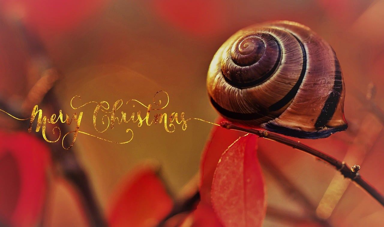 entdecken sie die freude des meal sharing: gemeinsame mahlzeiten genießen, neue menschen treffen und kulinarische erlebnisse teilen.