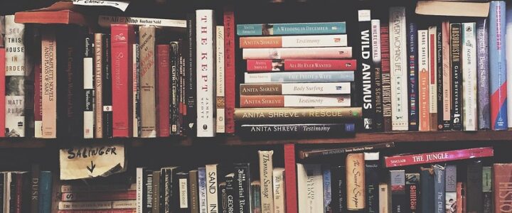 Tolle Sachbücher: Wie man den Wissensdurst von Mädchen und Jungen nachhaltig stillt Tolle Sachbücher: Wie man den Wissensdurst von Mädchen und Jungen nachhaltig stillt