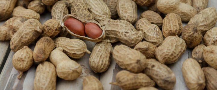 Aktuelle Brosch&uuml;re pr&auml;sentiert die neuesten DGE-Empfehlungen f&uuml;r eine ausgewogene Ern&auml;hrung und optimale Fl&uuml;ssigkeitszufuhr