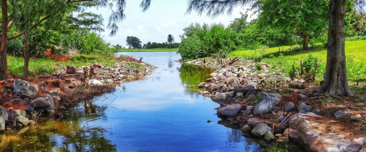 Royal Caribbean umschifft weiterhin die H&auml;fen Haitis &ndash; Ein strategischer Kurswechsel