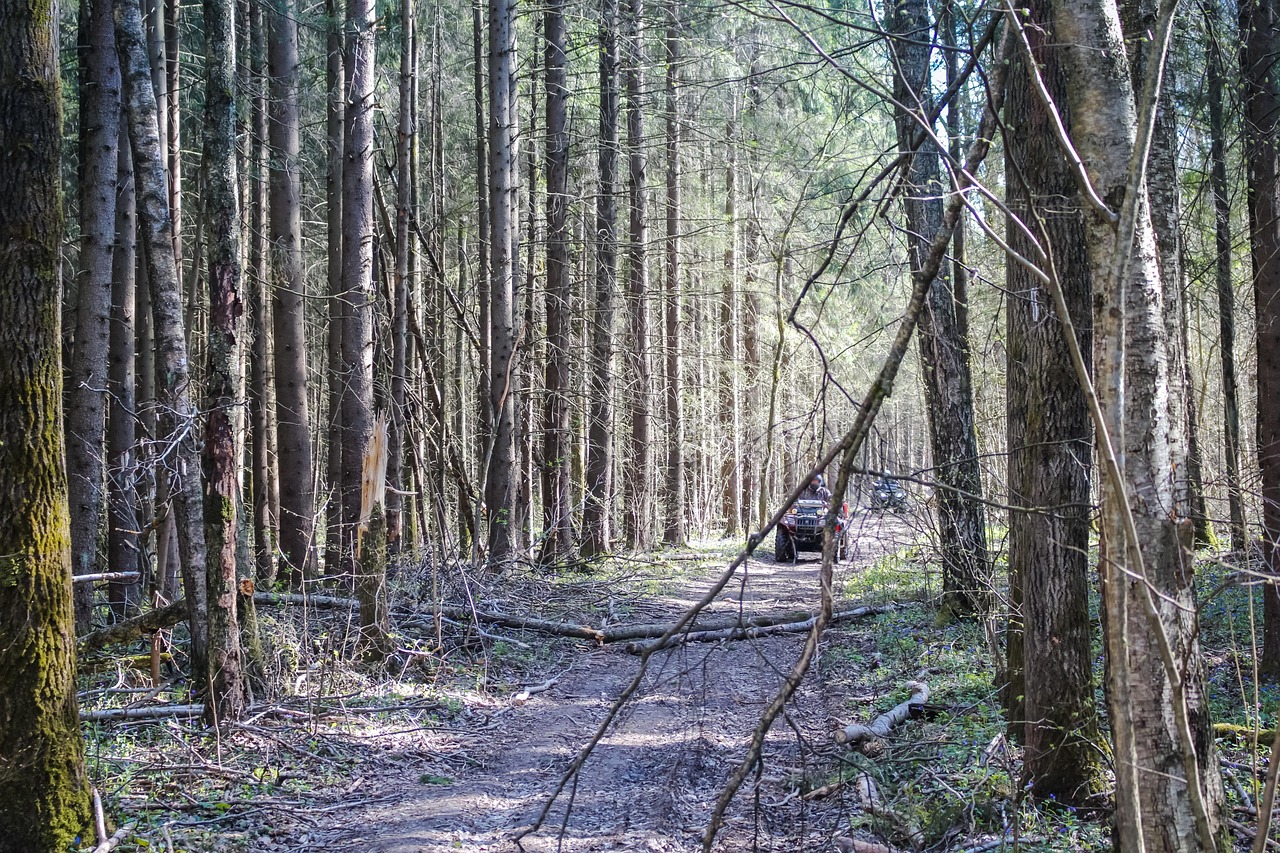 entdecken sie unvergessliche erlebnisse auf ihrer russlandreise – von atemberaubenden landschaften bis zu kulturellen highlights und historischen sehenswürdigkeiten.