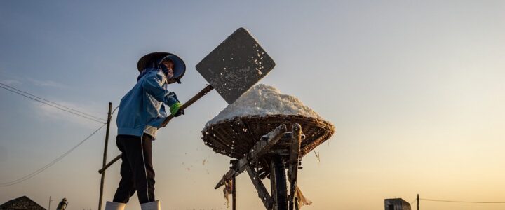 Fachkr&auml;ftemangel in Deutschland: Herausforderungen meistern und innovative L&ouml;sungswege f&uuml;r die Zukunft