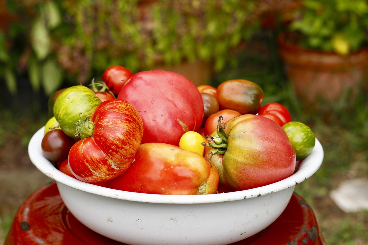 entdecken sie unsere sommerk&uuml;che &ndash; die perfekte l&ouml;sung f&uuml;r das kochen im freien und gesellige grillabende bei sch&ouml;nem wetter.
