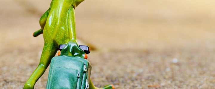 Reisen & Caravaning Hamburg: Neuer Angelsektor auf Norddeutschlands größter Urlaubsmesse Reisen & Caravaning Hamburg: Neuer Angelsektor auf Norddeutschlands größter Urlaubsmesse