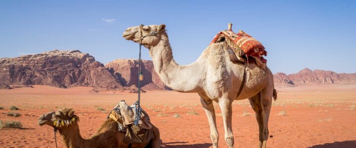 Eintauchen in versteckte Naturpools: Wadi-Erkundungstouren im Oman