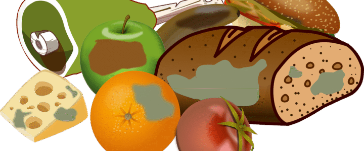 Nachhaltig leben: So vermeidest du Lebensmittelverschwendung im Alltag Nachhaltig leben: So vermeidest du Lebensmittelverschwendung im Alltag