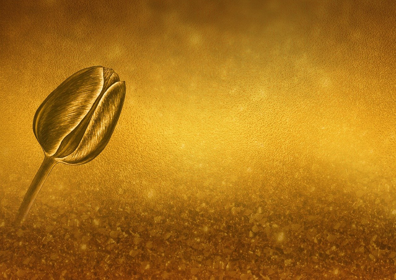 feiern sie den goldenen hochzeitstag mit besonderen momenten und unvergesslichen erinnerungen. entdecken sie tipps und geschenkideen f&uuml;r das 50-j&auml;hrige ehejubil&auml;um.