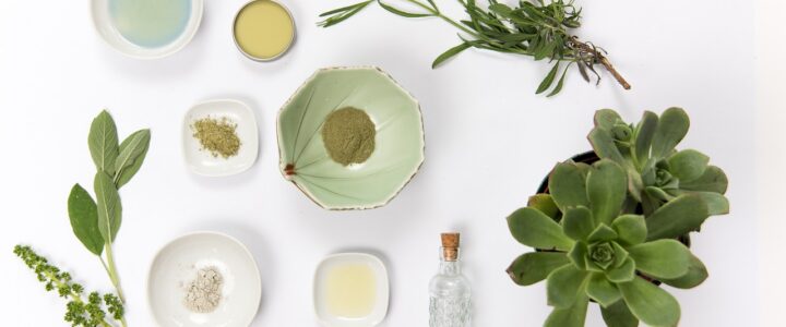 Themenwelten im SBZ: Ihr Zentrum f&uuml;r ganzheitliches Wohlbefinden