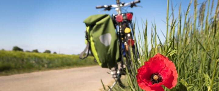 Deutschland-Blog: Connemann kritisiert den Begriff &bdquo;Lifestyle-Teilzeit&ldquo; und &auml;u&szlig;ert Bedauern