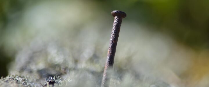 &Uuml;ber 100.000 Euro Jahresgehalt: Eine Enth&uuml;llung der Eink&uuml;nfte f&uuml;hrender Manager in Bildung, Wissenschaft und Forschung